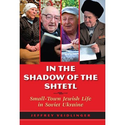 In the Shadow of the Shtetl - by  Jeffrey Veidlinger (Paperback)