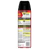Raid Ant & Roach Killer Fragrance Free - 2 of 4