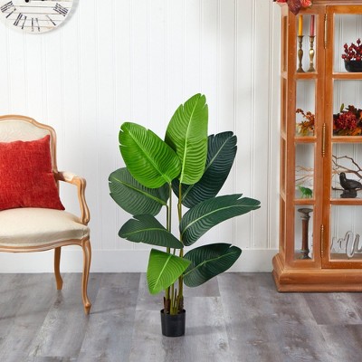 3.5-ft Green Plastic Potted Travelers Palm Tree
