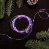 Northlight Micro Fairy Christmas Lights - Purple LED - 16' Copper Wire - 50ct - 2 of 4