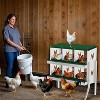 Jojoka Heavy-Duty Chicken Nesting Boxes, Comfortable Environment for Hens - 2 of 4