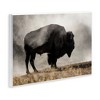 Stupell Industries Powerful Bison Grazing Foggy Rural Pasture Photography Wall Plaque Art, 19" x 13" - 2 of 4