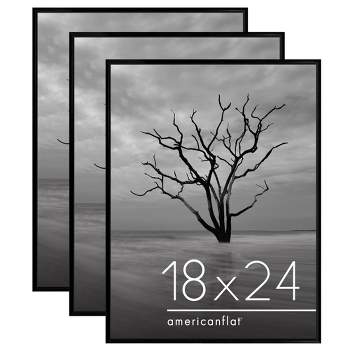 Americanflat 3 Pack Lightweight 18x24 Poster Frames - Black