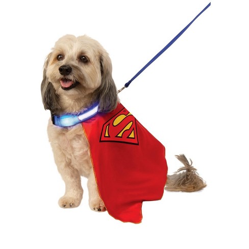 Dc Comics Superman Cape Pet Costume, Medium : Target