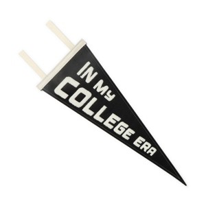 Fabric Wall Pennant Era - Bullseye's Playground™ - 1 of 4