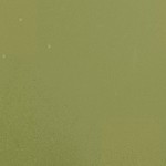 fern green