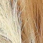 30 pcs brown and yellow style