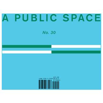 A Public Space No. 30 - by  Brigid Hughes (Paperback)