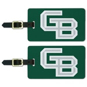 University of Wisconsin  Green Bay Primary Logo Luggage ID Tags Suitcase CarryOn Cards  Set of 2 - 1 of 4