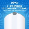 Zevo Indoor Flying Insect Trap For Fruit Flies, Gnats, And House Flies (1  Plug-in Base + 1 Refill Cartridge) : Target