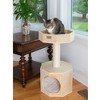 Armarkat Premium Scots Pine 29-Inch Real Wood Cat Tree with Perch and Condo - image 4 of 4