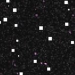 atlanta braves 1972-1980