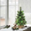 2ft Puleo Pre-Lit Tabletop Artificial Christmas Tree Burlap Sack Clear Lights - 2 of 3