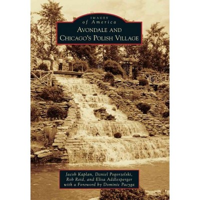 Avondale and Chicago Polish Village 12/15/2016 - by Jacob Kaplan (Paperback)