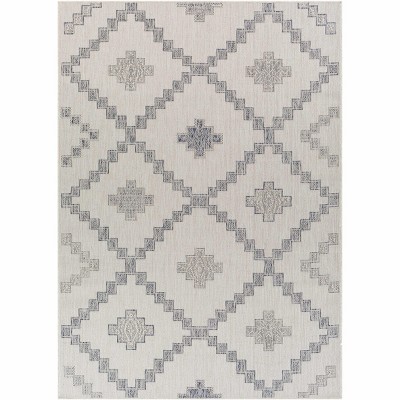 Hauteloom Rectangle Area Rug   Blue