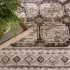 Nourison Dekor Vintage Indoor Area Rug - 3 of 4