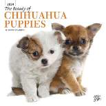 StarGifts 2024 Wall Calendar 12"x12" The Beauty of Chihuahua Puppies