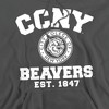 City College of New York Official Circle Logo Adult Pull-Over Hoodie - 2 of 4