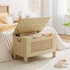 Toy Storage Chest with Safety Hinge - 350lb Capacity Wooden Trunk Bench for Playroom & Entryway - 4 of 4