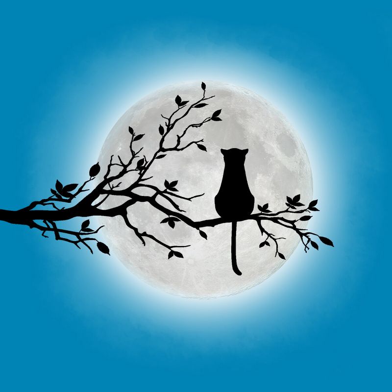 Men's Design By Humans The Cat and The Moon By Maryedenoa T-Shirt, 2 of 4