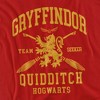 Men's Harry Potter Gryffindor Quidditch Arch T-Shirt - 2 of 4