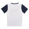 MLB Houston Astros Boys' Pinstripe Pullover Jersey - image 3 of 3