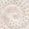 Sagebrook Home 7" Polyresin Shell Figurine - Contemporary White Decorative Seashell Table Accent - Coastal Ocean Beach Theme Home or Office Table - 4 of 4