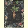 Men's Harry Potter Mandrake Root Recipe T-Shirt - 2 of 4