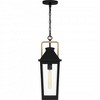 Quoizel Lighting Buckley 1 - Light Pendant in  Matte Black - 4 of 4