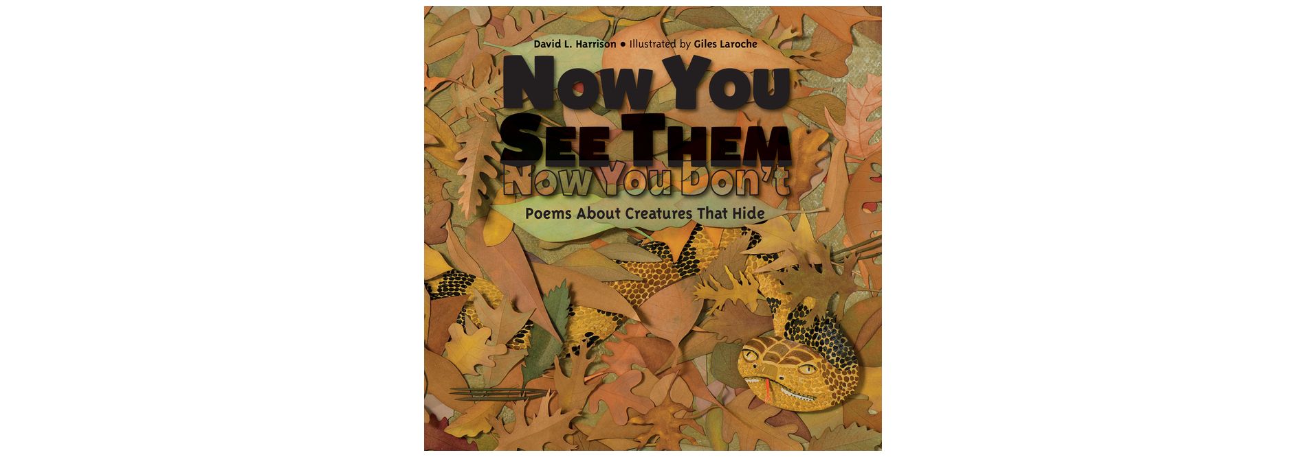 Now You See Them, Now You Don't - by  David L Harrison (Paperback)