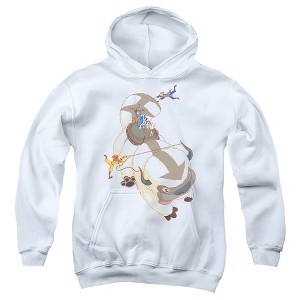 Boys’ Avatar The Last Airbender Hang On Appa Hooded Sweatshirt - 1 of 4