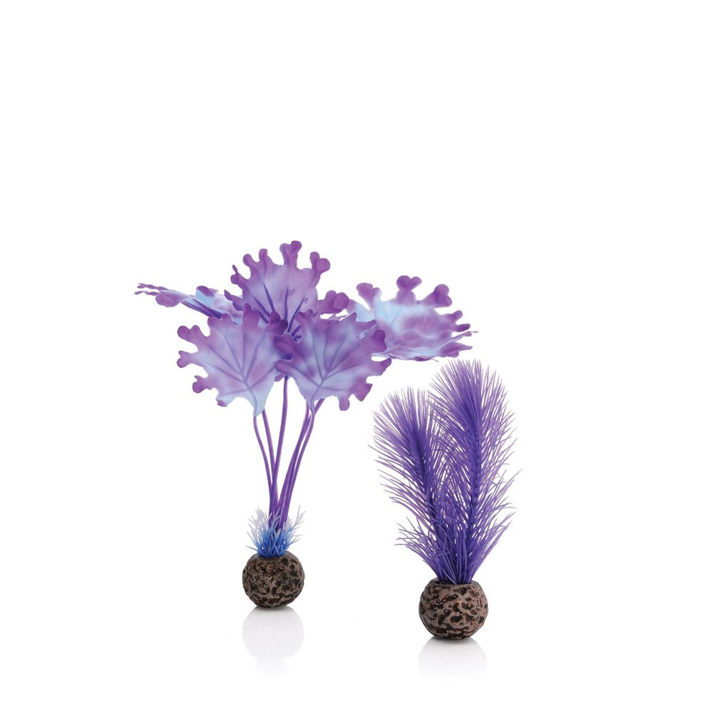 Photos - Aquarium Decoration BiOrb Kelp Set Aquarium Artificial Plants - Purple - S 