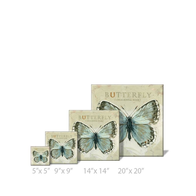 Sullivans Darren Gygi Chalkhill Blue Butterfly Canvas, Museum Quality Giclee Print, Gallery Wrapped, Handcrafted in USA, 4 of 7