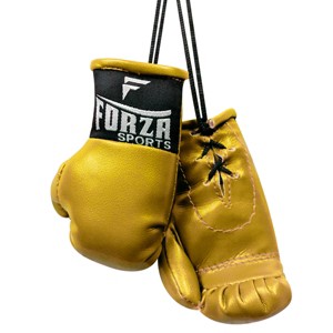 Forza Sports Mini Boxing Gloves - 1 of 2
