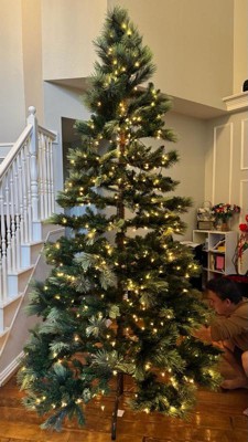 Guest review image 2 of 2, zoom in