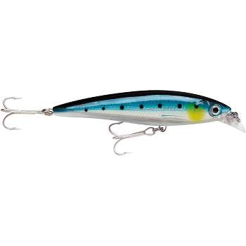 Rapala 5 1/4 X-rap 14 Saltwater Fishing Lure - Silver Blue Mackerel :  Target