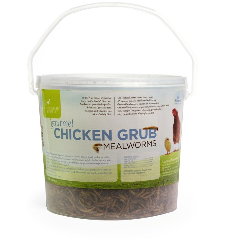 Pacific Bird & Supply Co. Gourmet Chicken Grub Dried Mealworms - 27 oz Bucket, 1 of 2