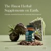 Gaia Herbs Ashwagandha Root - Supports Balanced Energy Levels & Positive Outlook - 3 of 4