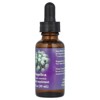 Flower Essence Services Angelica, Flower Essence, 1 fl oz (30 ml) - 3 of 3