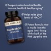 Dr. Mercola, Pau d'Arco, 60 Servings (120 Capsules), non GMO, Soy-Free, Gluten Free - 4 of 4