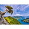 1000 Piece Jigsaw Puzzle, View of the Lake of Uri, Switzerland, Landscape puzzle, Mountain view, Adult Puzzle, Castorland C-105311-2 - 2 of 4
