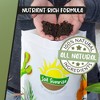 Soil Sunrise Terra-Preta Inspired Potting Soil, Biochar-Enriched Sustainable Mix for Indoor/Outdoor  Plants - 4 of 4