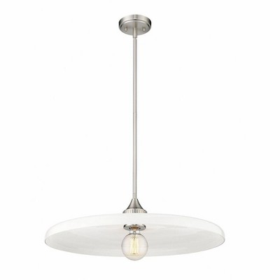 Paloma Brushed Nickel 24" LED Glass Indoor/Outdoor Pendant Light