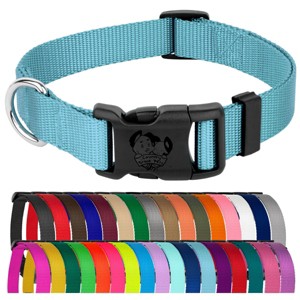 Country Brook Petz Everyday Nylon Dog Collar - 1 of 4