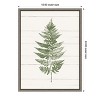 Amanti Art Fern Print I by Moira Hershey Canvas Wall Art Print Framed 18-in. x 24-in. - 4 of 4