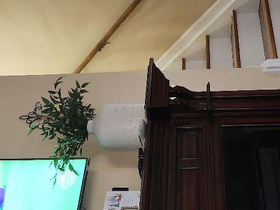 Guest review image 1 of 1, zoom in