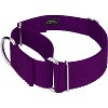 Country Brook Petz 1 1/2 Inch Martingale Heavyduty Nylon Dog Collar - 3 of 4