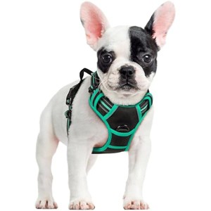 rabbitgoo Dog Harness No Pull with 2 Leash Clips, Control Handle for Small Dogs, Black & Turquoise, S - 1 of 1