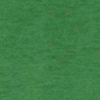 envy green