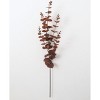 Sullivans Artificial Eucalyptus Spray 33" Brown - 3 of 3
